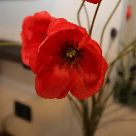 Cortile Del Forno Nel Centro Storico * Arona