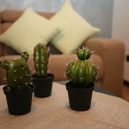 Cortile Del Forno Nel Centro Storico * Arona