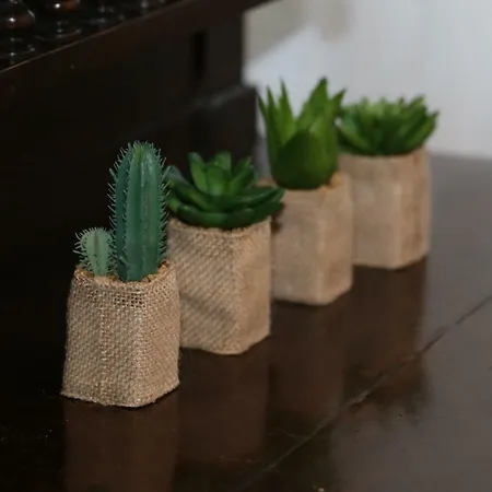 Appartement Cortile Del Forno Nel Centro Storico