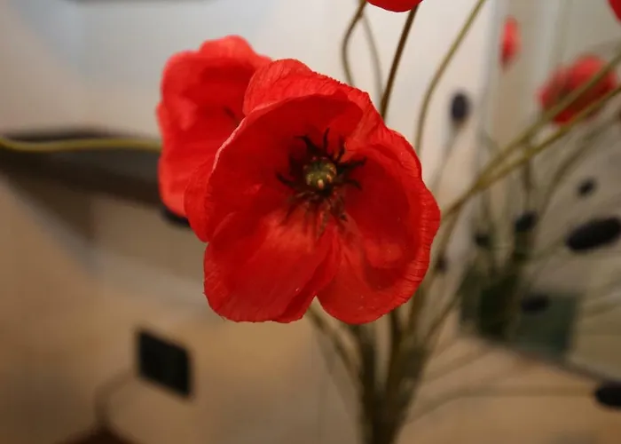 Cortile Del Forno Nel Centro Storico * Arona